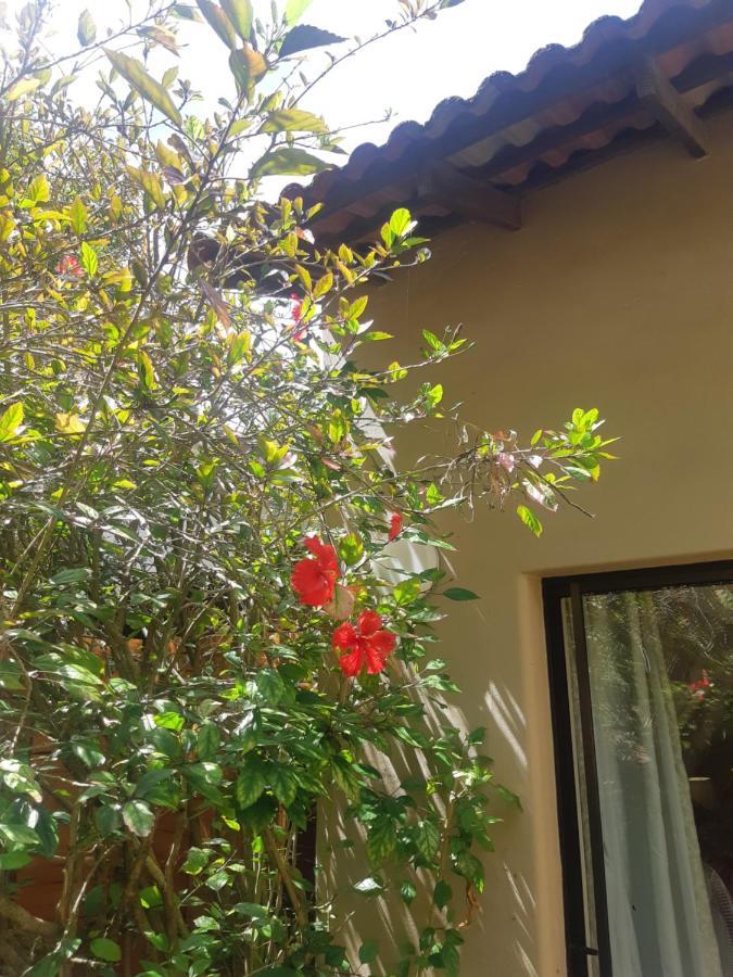 Tidal Retreat Hotel Plettenberg Bay Luaran gambar